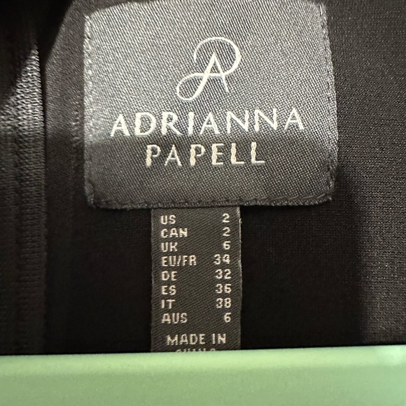 NWT Adrianna Papell Metallic Chiffon Walkthrough - size 2 - Picture 7 of 7